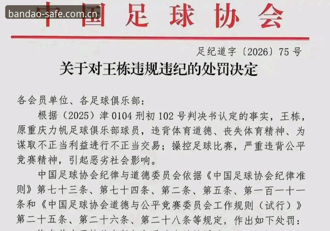 足协第三批禁足名单公布，半岛体育平台深度解析行业乱象最新动态